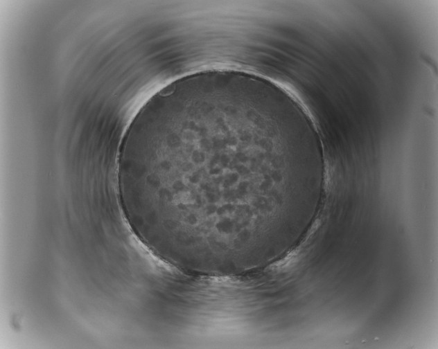 X0000100840903200806201148