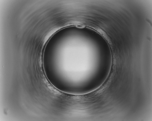 X0000100840904200806201148