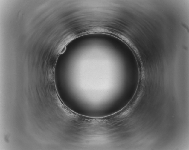 X0000100840905200806201148