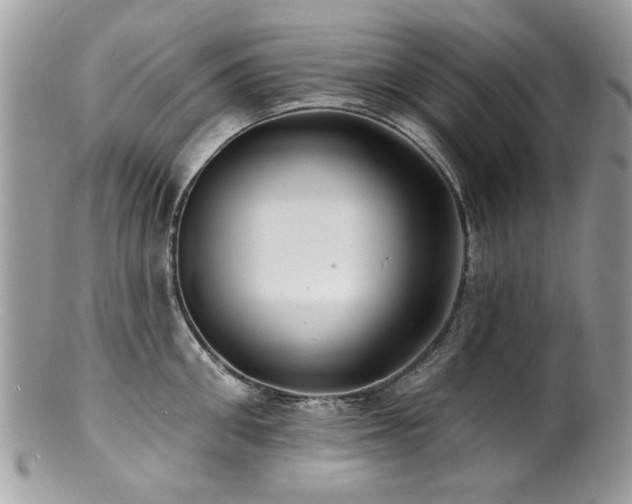 X0000100840906200806201148