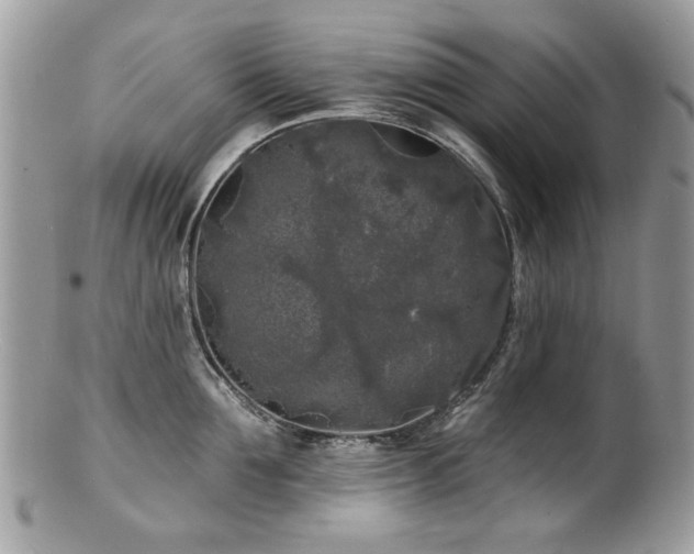 X0000100840907200806201148