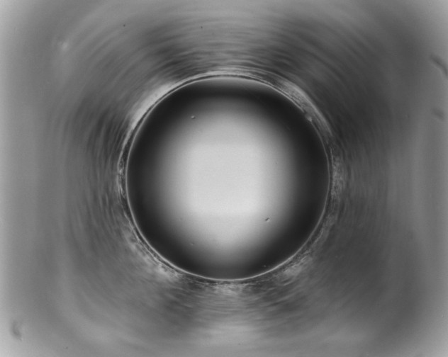 X0000100840908200806201148