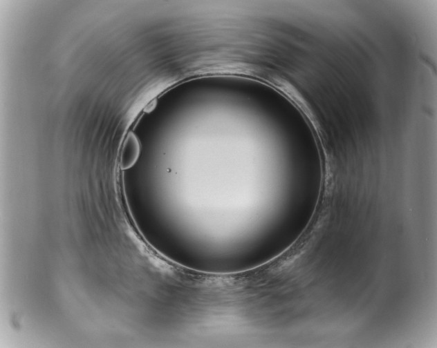 X0000100840909200806201148