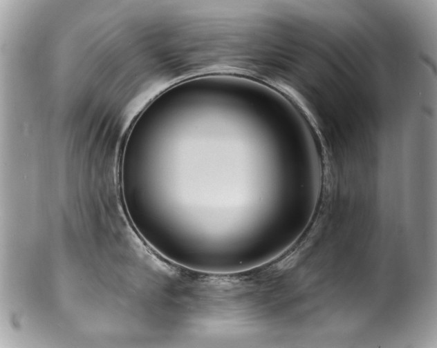 X0000100840910200806201148