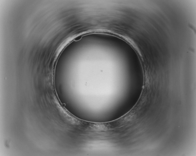 X0000100840911200806201148