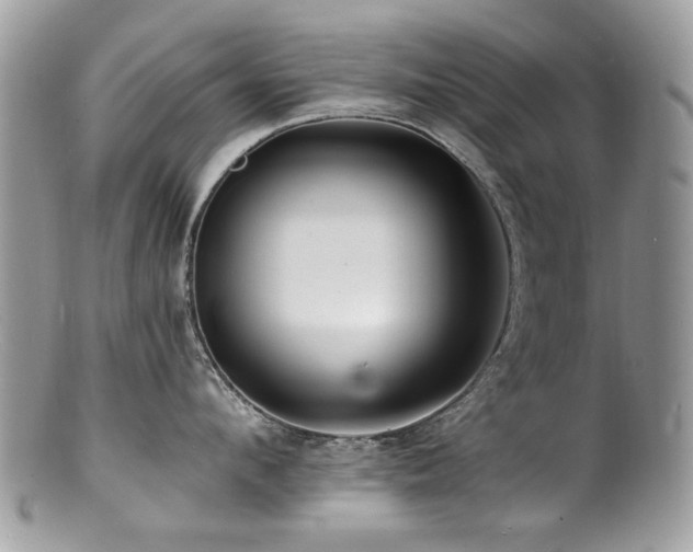 X0000100840912200806201148