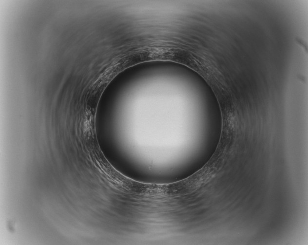 X0000100840914200806201147