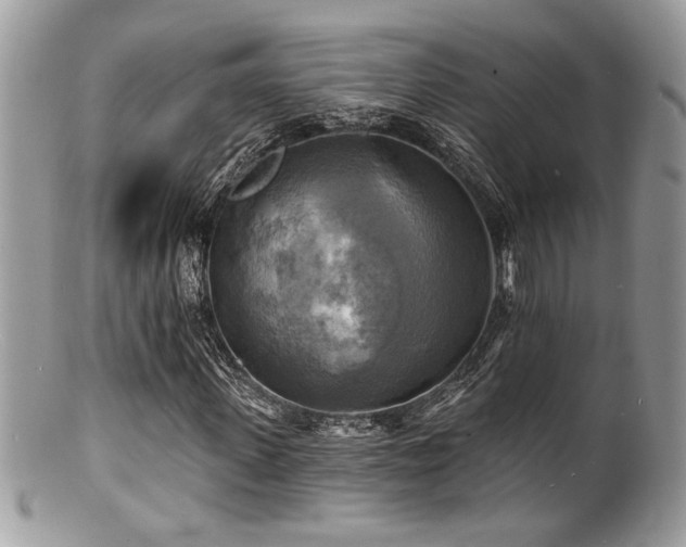 X0000100840915200806201147