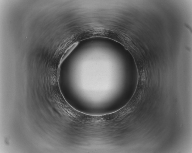 X0000100840916200806201147