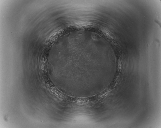 X0000100840917200806201147