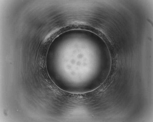 X0000100840919200806201147