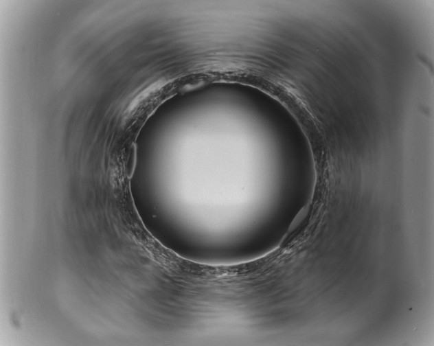 X0000100840920200806201147