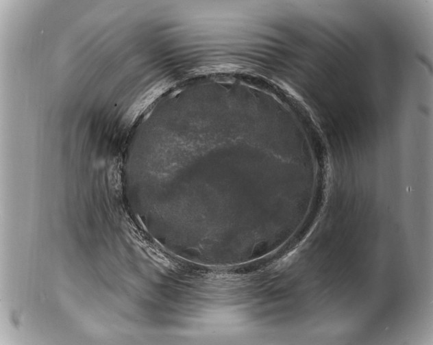 X0000100840921200806201147