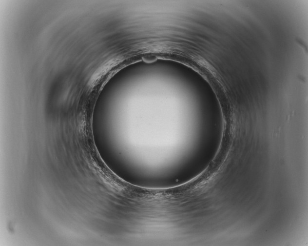 X0000100840922200806201147