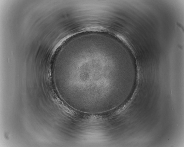 X0000100840923200806201147