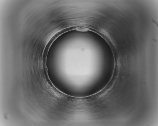 X0000100840924200806201147