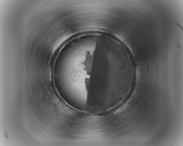 X0000100840925200806201147