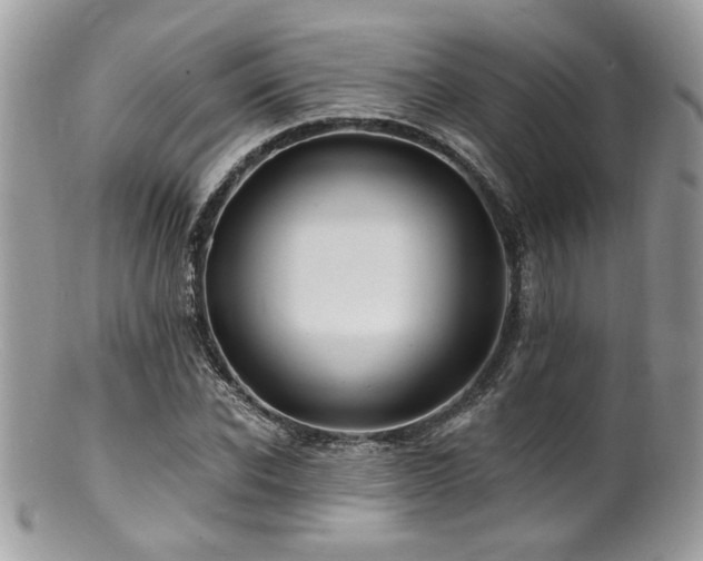 X0000100840926200806201147