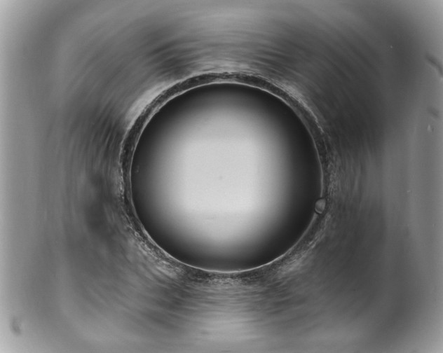 X0000100840927200806201147