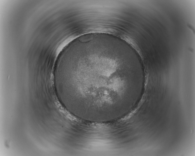 X0000100840928200806201147