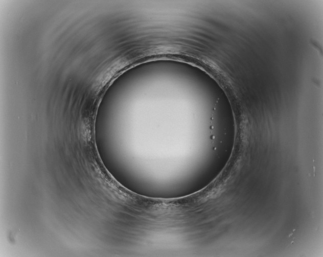 X0000100840929200806201147