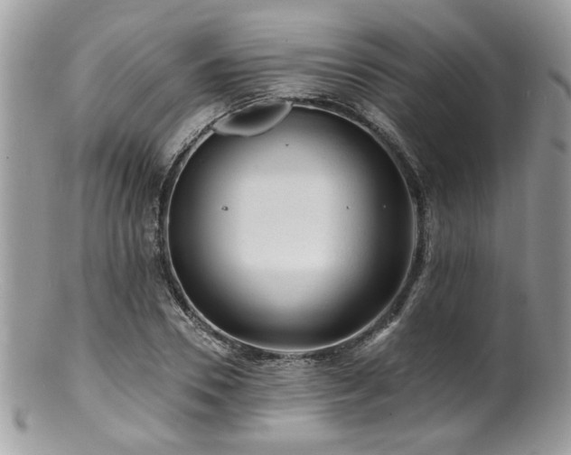 X0000100840930200806201147