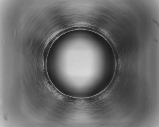 X0000100840931200806201147