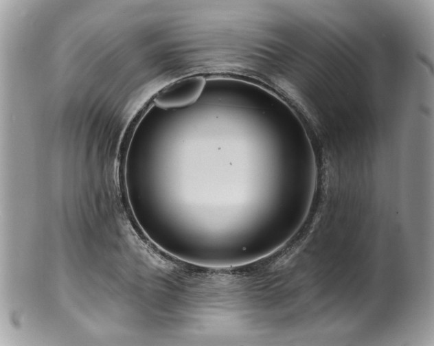 X0000100840932200806201147