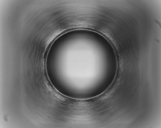 X0000100840933200806201147