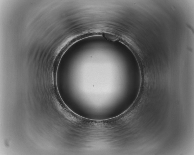 X0000100840934200806201147