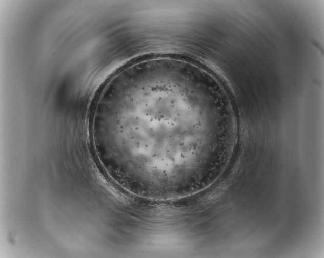 X0000100840935200806201147