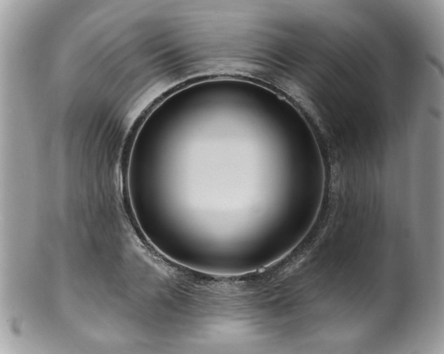 X0000100840936200806201147