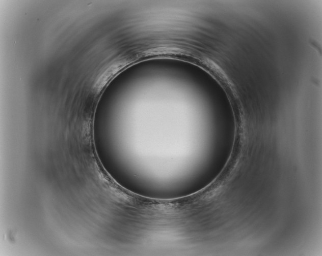 X0000100840937200806201147