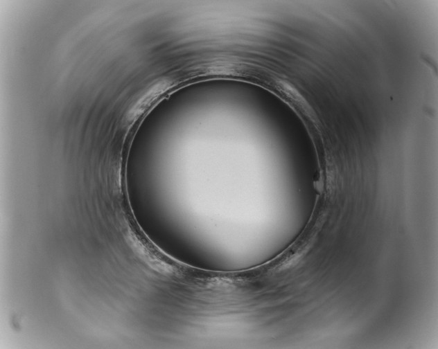 X0000100840938200806201147