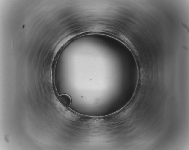 X0000100840939200806201147