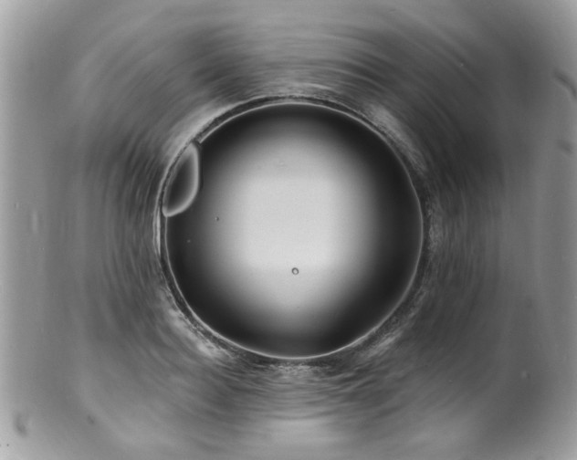 X0000100840940200806201147