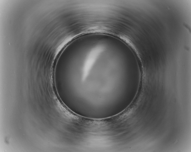 X0000100840941200806201147