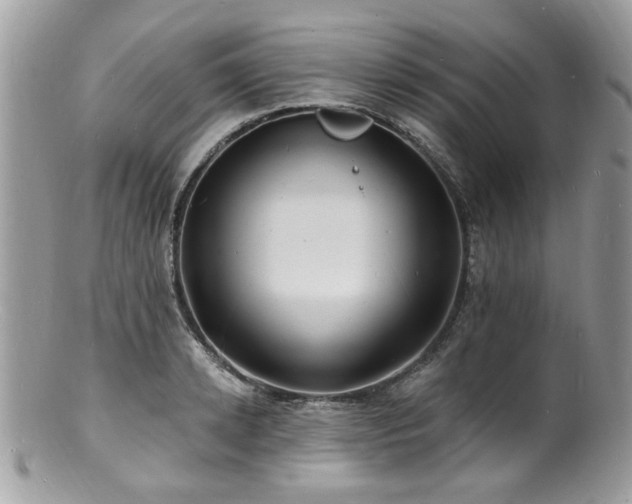 X0000100840942200806201147