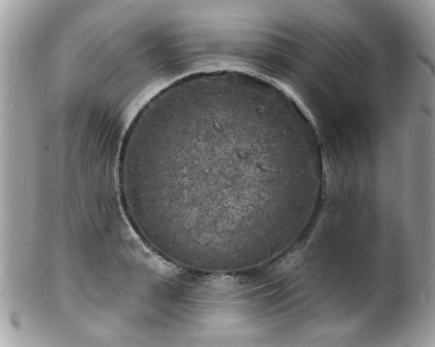 X0000100840943200806201147