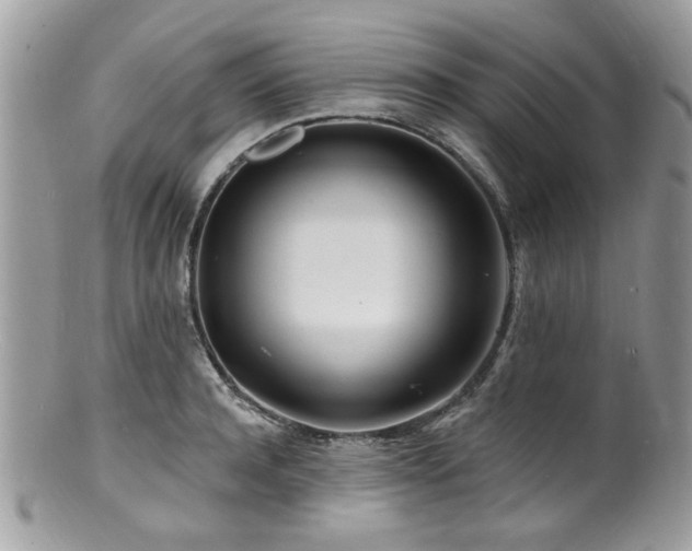 X0000100840944200806201147