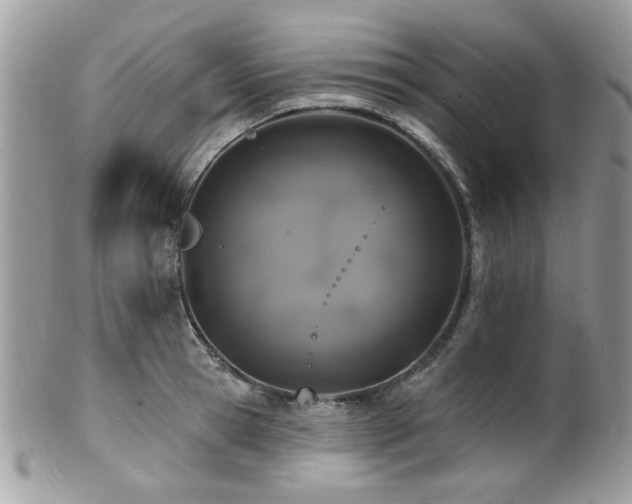 X0000100840945200806201148