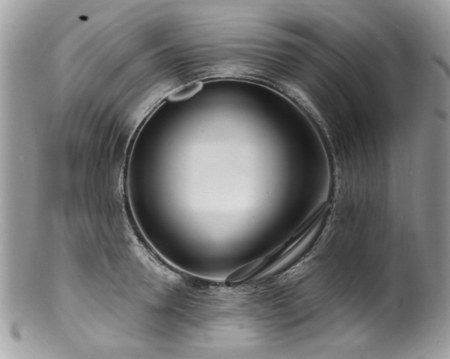 X0000100840946200806201148