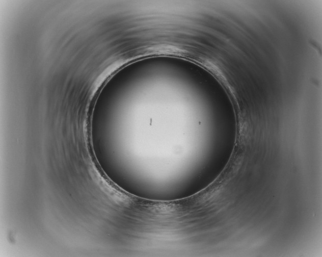 X0000100840947200806201148