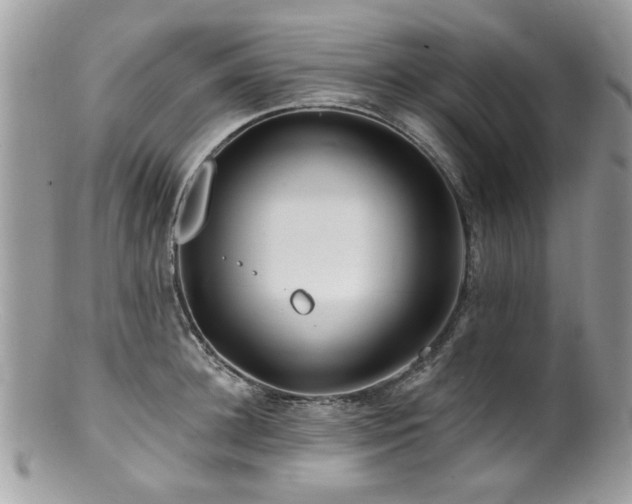 X0000100840948200806201148