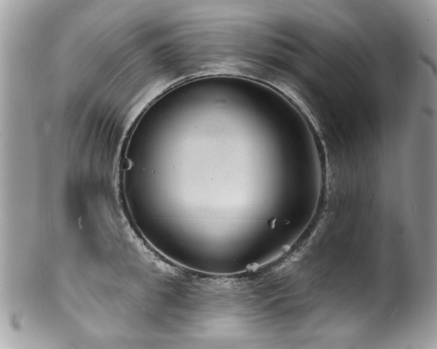 X0000100840949200806201148