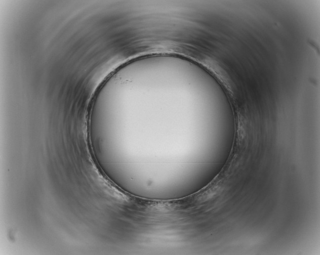 X0000100840950200806201148