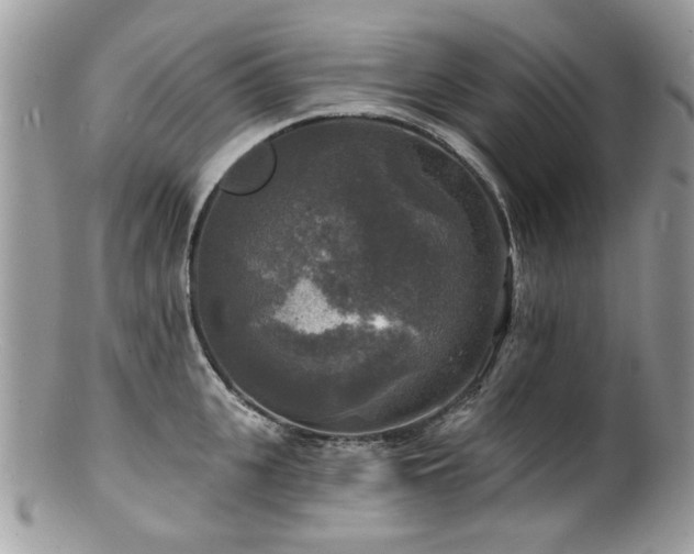 X0000100840951200806201148