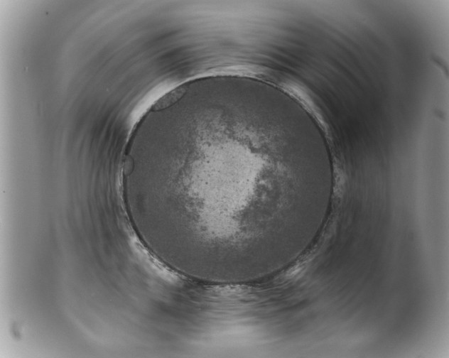 X0000100840952200806201148