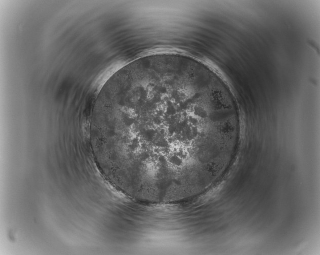 X0000100840953200806201148