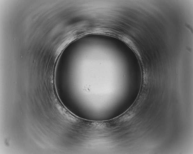 X0000100840954200806201148